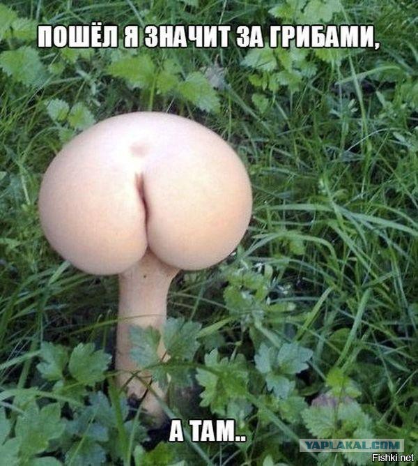 Подборка смешных картинок