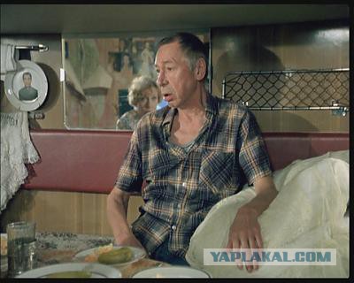 Семья живет в микродоме площадью 16 квадратных метров под Минском