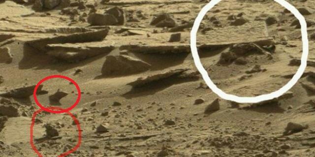 Уфологу удалось получить снимки трупа инопланетянина