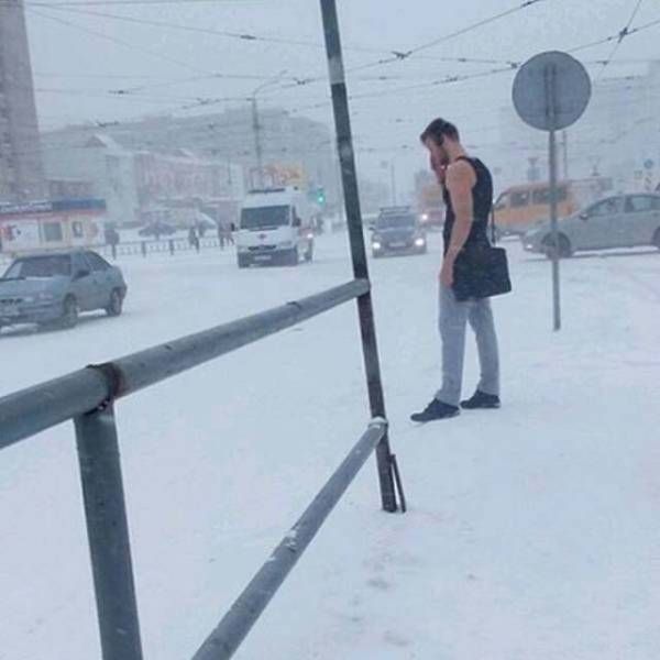 Подборка безудержного веселья