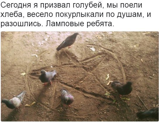 Не очень светлый и абсурдный юмор