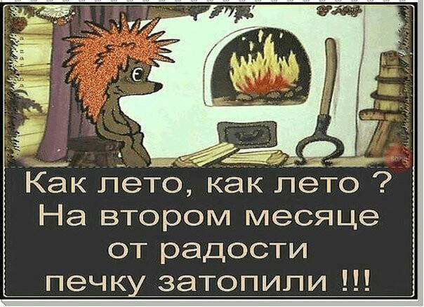 Вот оно какое, наше лето.