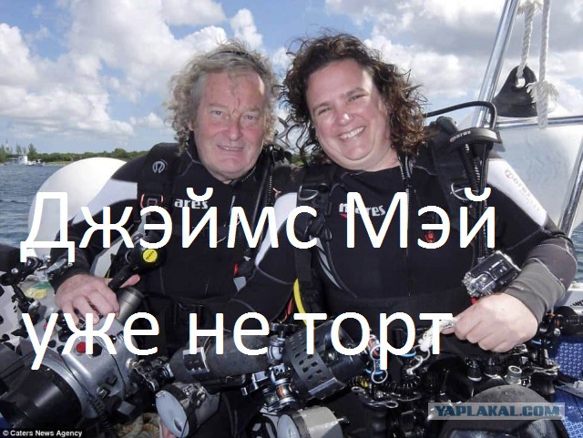 Тюлень пытался украсть у дайвера камеру, а в итоге получились эти фотографии