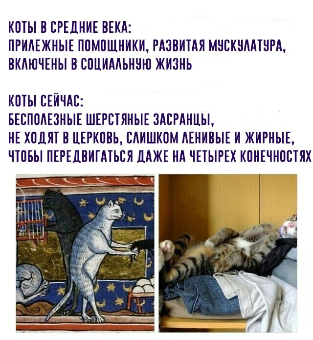 Средневековые картины, которые могут охарактеризовать нашу жизнь