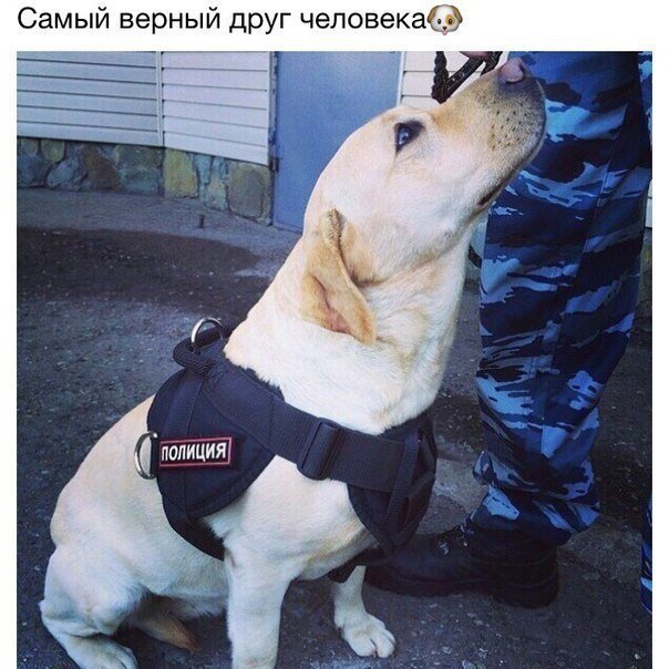 Временный пост. Всякое-разное