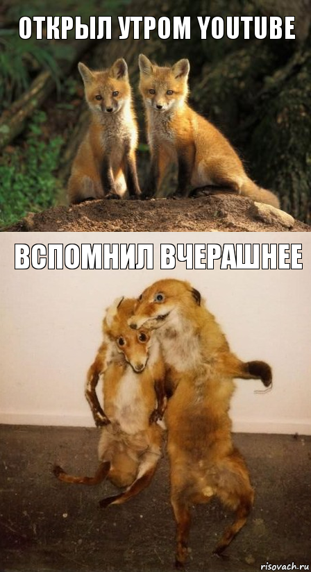 Тёмные силы желают подеградировать