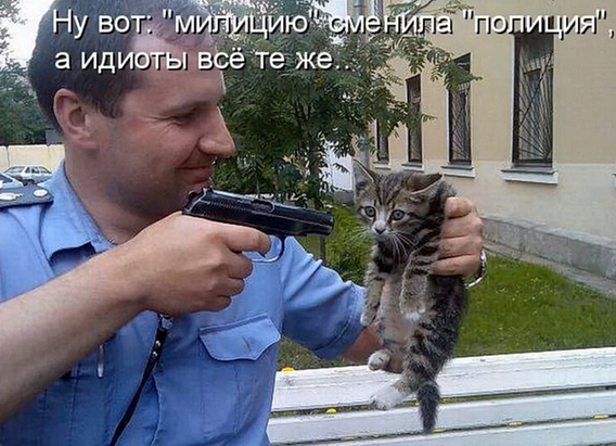 Отлов собак. Спасающие наши жизни