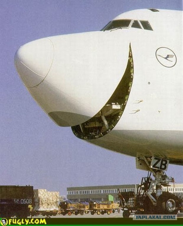 Да ты упоротый!