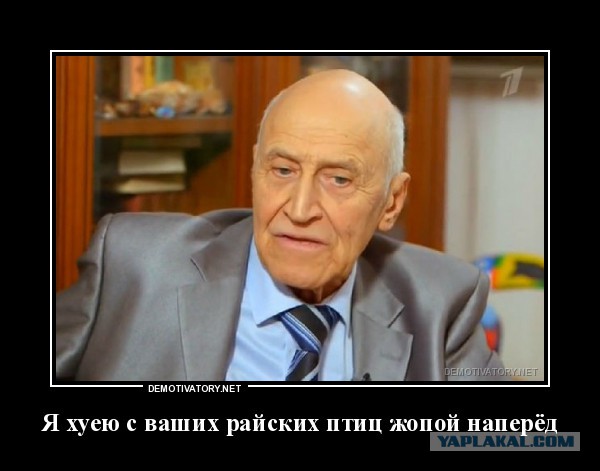 Колибри