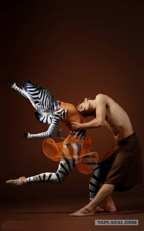 Животное искусство танца