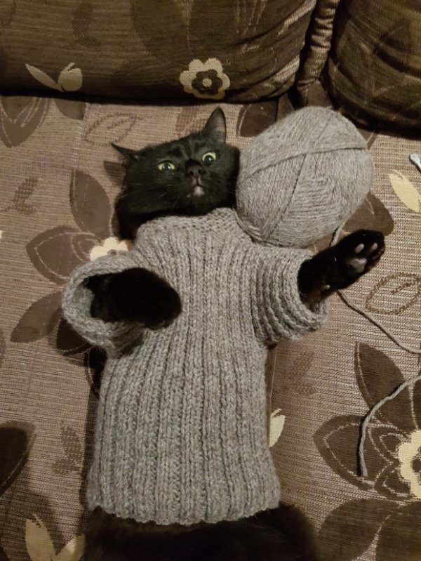 Немного милоты