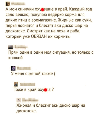 Комментарии из соцсетей