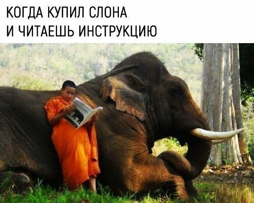 Подборка интересных и веселых картинок 24.03.19