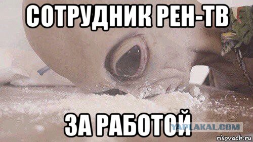 Ученый рассказал, как инопланетяне наблюдают за нами при помощи кошек