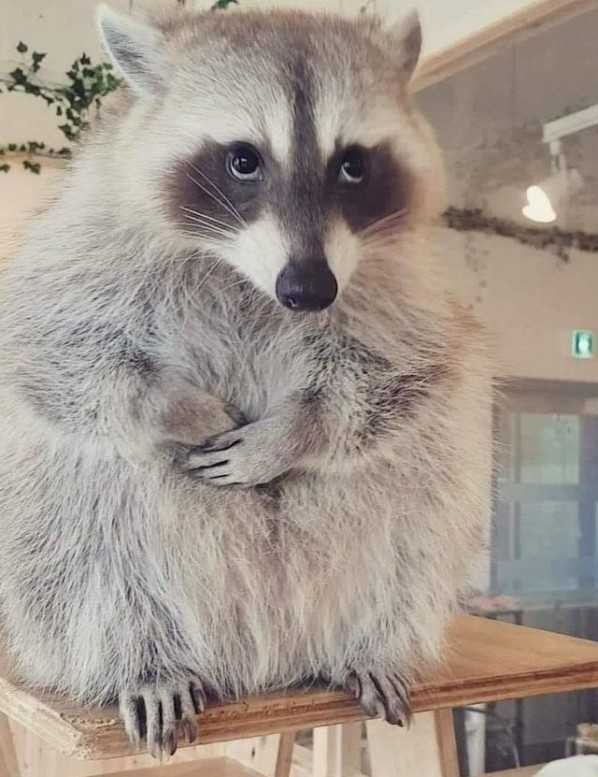 Кого звать, если...