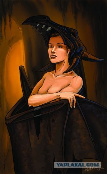 Рисунки