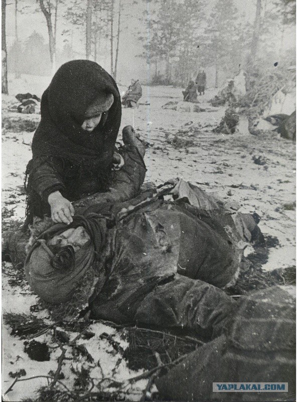 Женское лицо войны