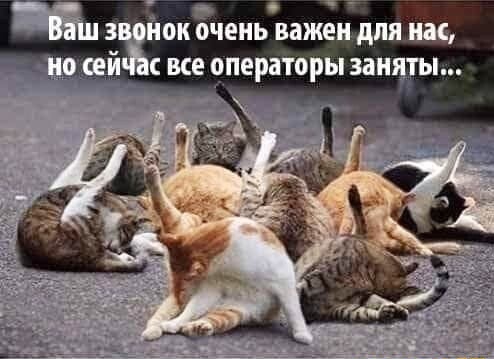 Подборка из этих интернетов
