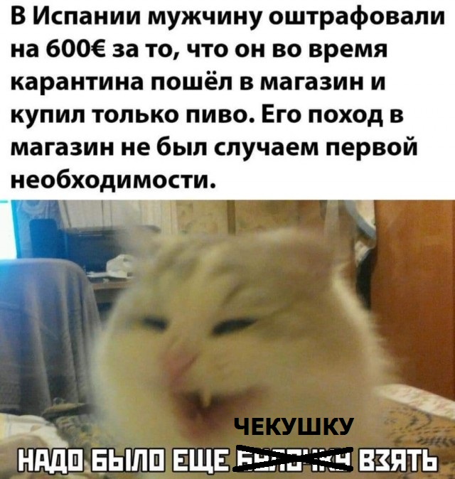 Бредзона 26.03.2020