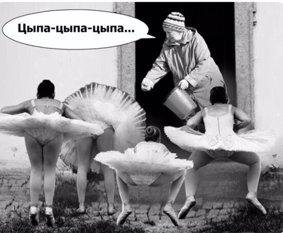 Пара-пара-пам! Фьють! На 13.04.2020