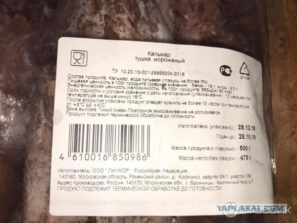 Кальмары точно имеют земное происхождение?