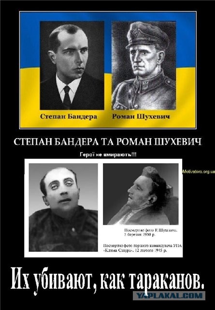 Обращения с задержанными в Беларуси