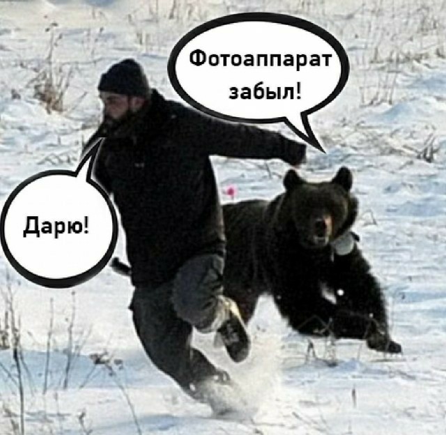 Интересные "белочки" у вас водятся...