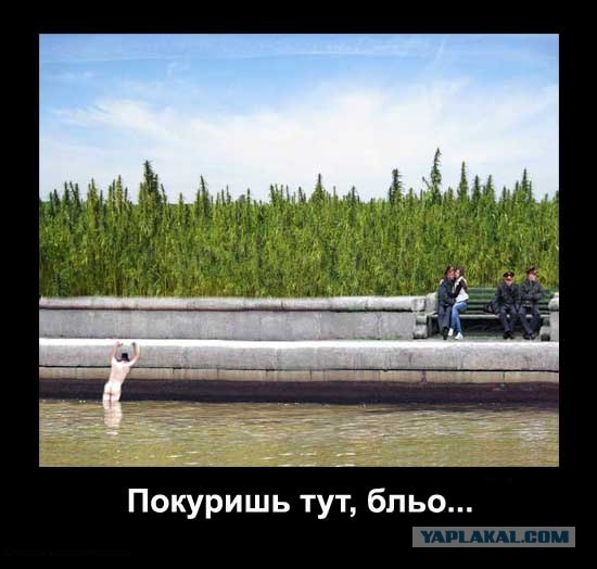 Битва фотожаберов (Команда №4), на набережной