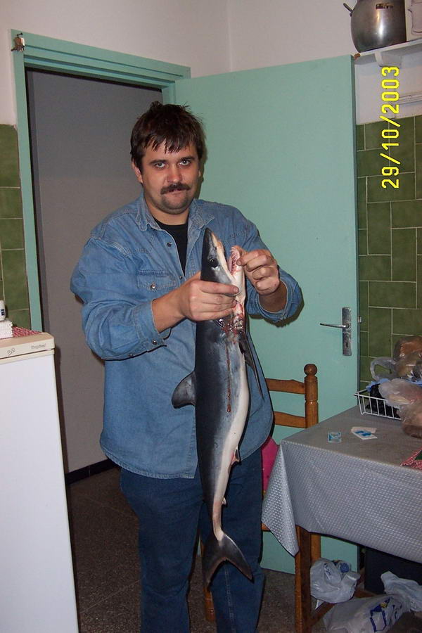 Акулка хочет камбалы!