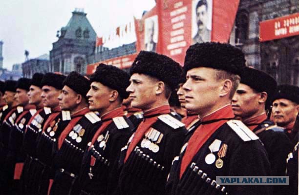 Генетики поставили точку в споре являются ли казаки русскими или нет
