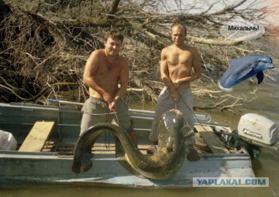 Жабим Улов