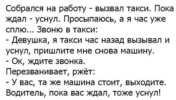 Фотки и картинки: юморные и красивые, забавные и милые 11.11.20