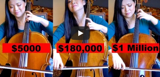 Услышите ли вы разницу между виолончелями за $5000 и $1000 000?
