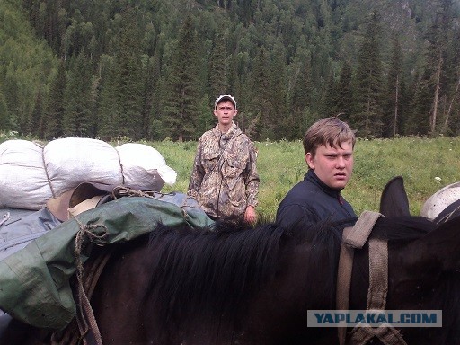 На конягах по Алтаю