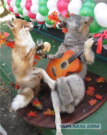 Таксидермия + наркомания