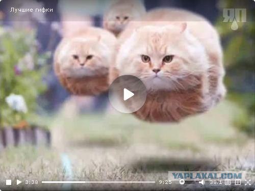 Лучшие гифки!