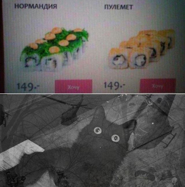 Весёлый полтишок 17.02