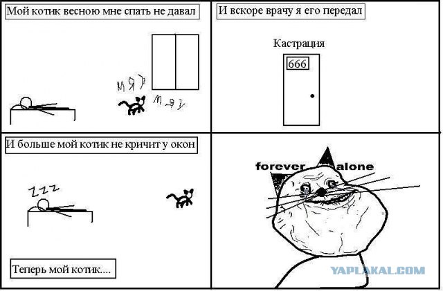 Ушастые беспредельщики
