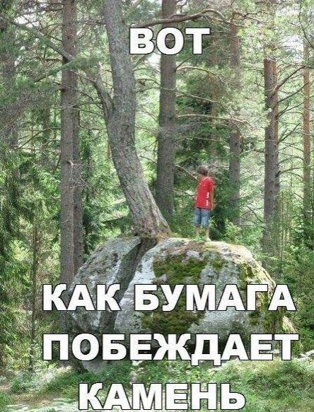 Картинки и мемы для настроения  022