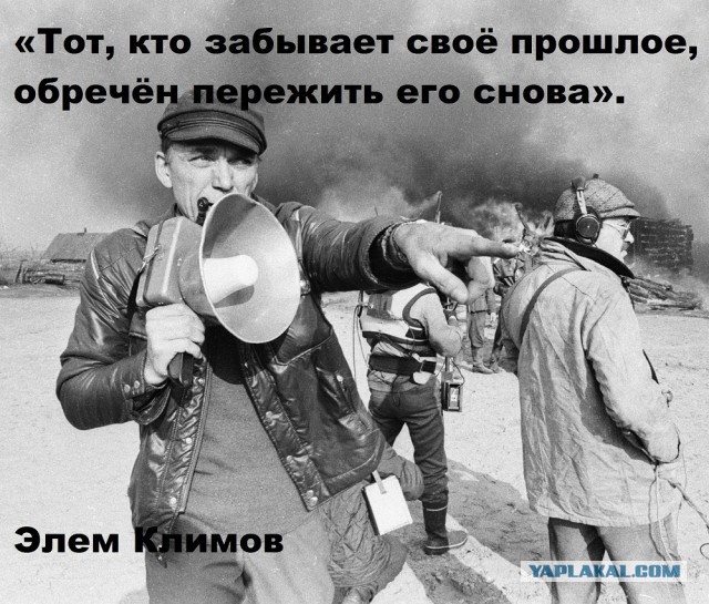 «Иди и смотри»: легендарный фильм Элема Климова возвращается в кинотеатры