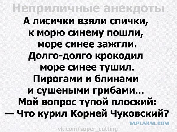 Две школьницы сожгли ферму в Пермском крае ради ролика в TikTok