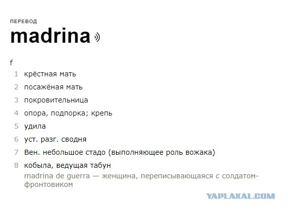 "Тиндер, новое брачное поведение и гендерная диспропорция столиц": почему стало сложнее выйти замуж