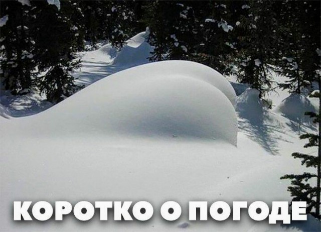 Просто картинки 05.07.2021