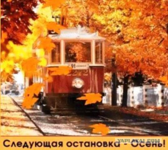 Картинки и мемы на все случаи жизни