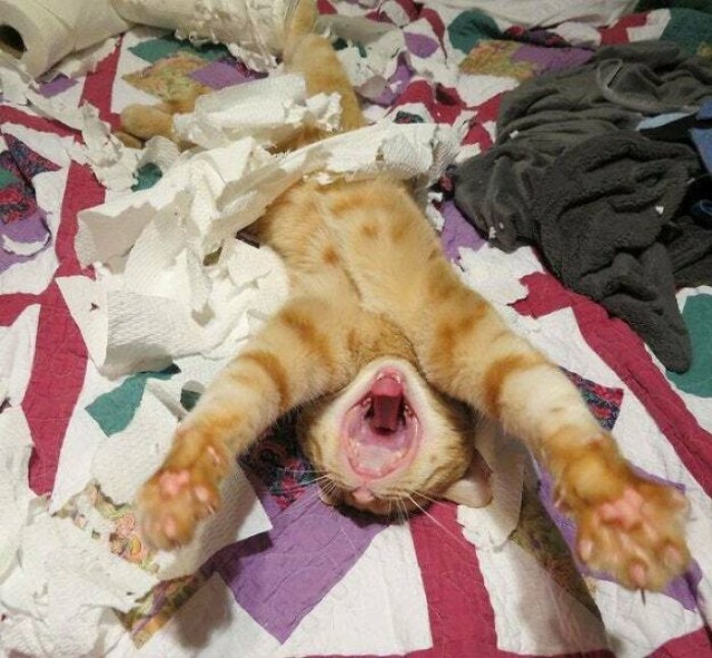 Почему мужчина не хочет официальный брак