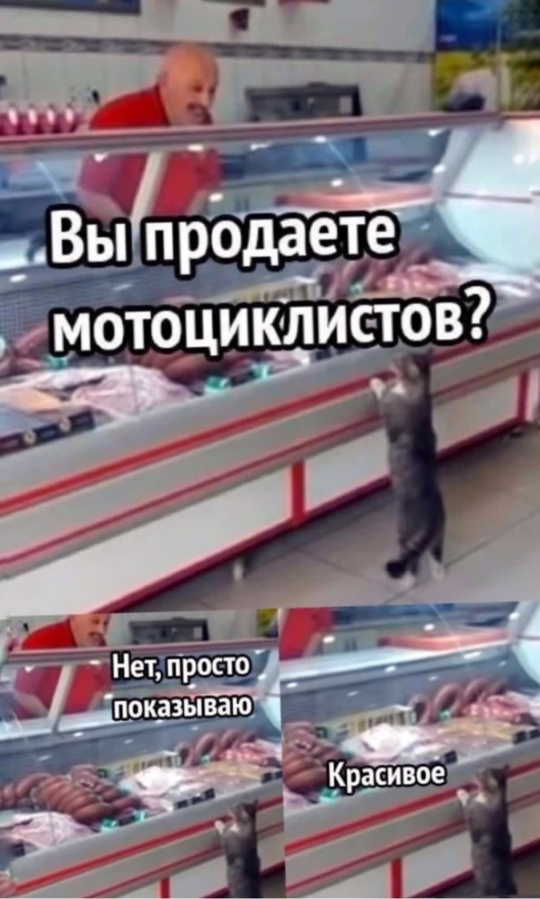Успел таки