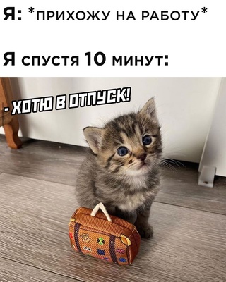Картинки и мемы для настроения - 22