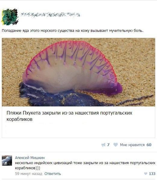 Весёлый полтишок 20.03.22