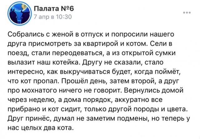 Немного картинок для настроения - 117