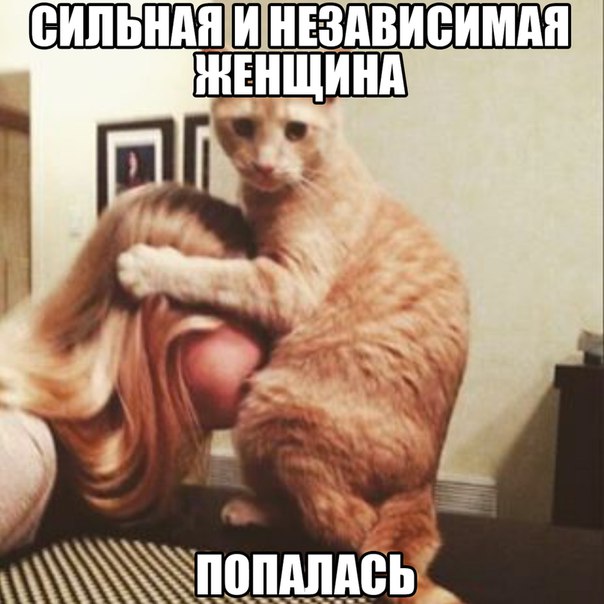 Прикольные и просто красивые картинки 18.11.2022